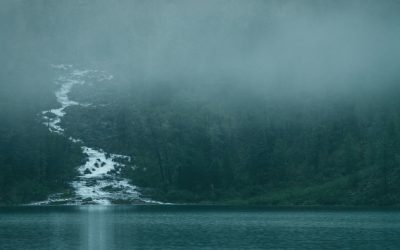 Our Guiding Principles: Health, Equity, and Empowerment