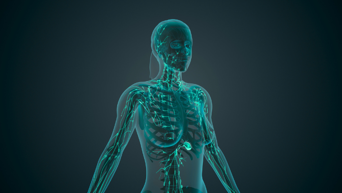 Lighten Up: The Whole-Body Benefits of Lymphatic Drainage