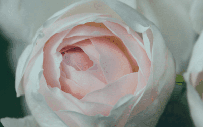 April is Rosacea Awareness Month