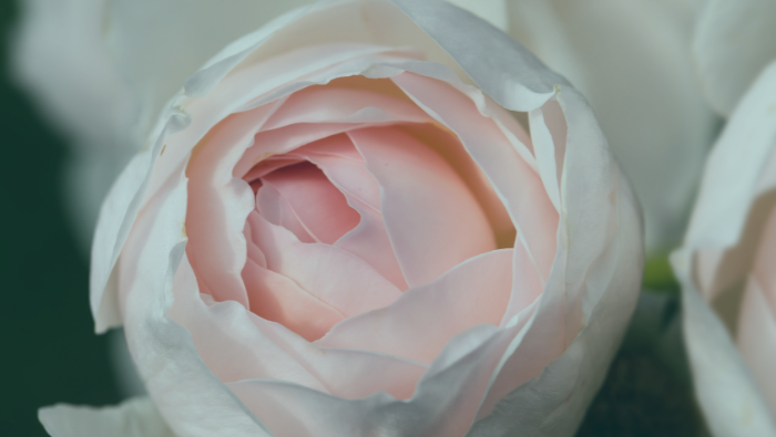 April is Rosacea Awareness Month