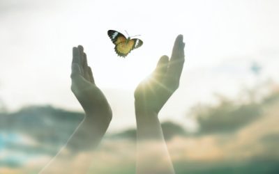 Holding Space for Healing: A Foundational Practice at AHH