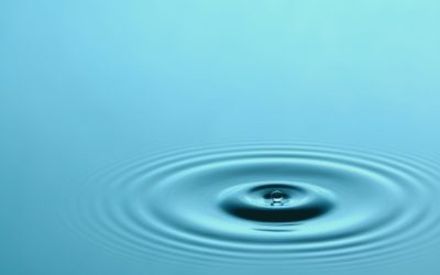 A Guide to Holistic Care Providers in Madison