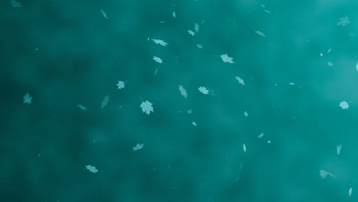 Soft teal background with scattered falling autumn leaves, used to highlight fall skincare tips Madison clients can use for seasonal skin transitions.